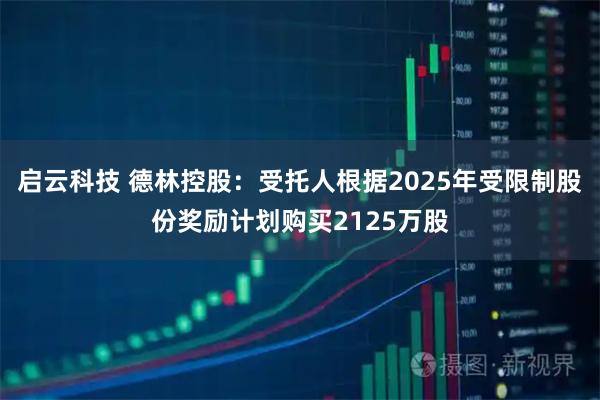 启云科技 德林控股:受托人根据2025年受限制股份奖励计划购买2125万股