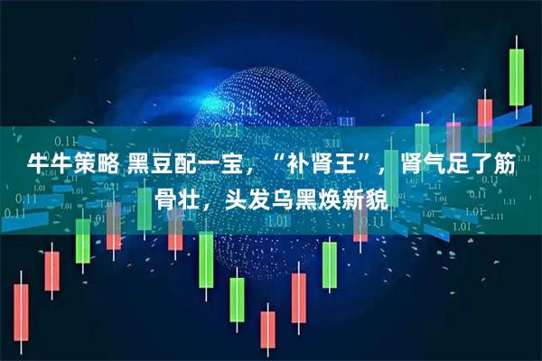 牛牛策略 黑豆配一宝，“补肾王”，肾气足了筋骨壮，头发乌黑焕新貌